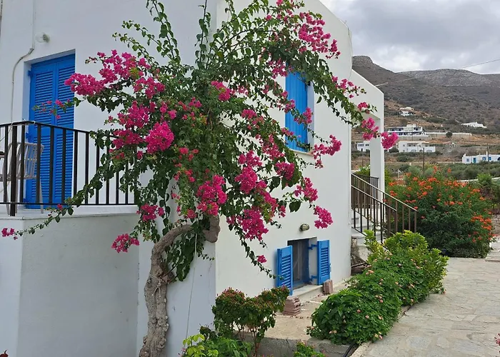 Bizas & 3* Parikia (Paros)